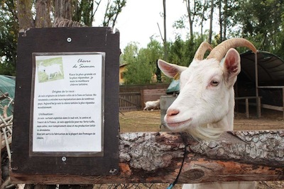 parques y reservas naturales del sur de Francia