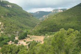 la conca de barberà amb nens