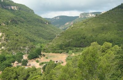 la conca de barberà amb nens