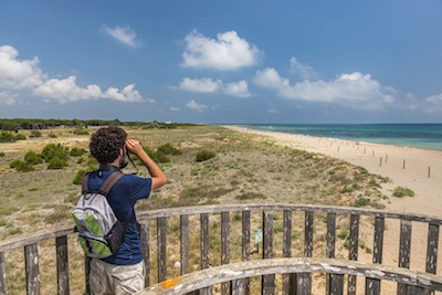 lagos y pantanos para ir de ruta con niños