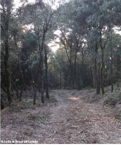 espacios naturales de catalunya