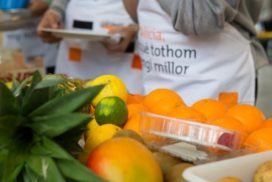Talleres para niños en Món Sant Benet