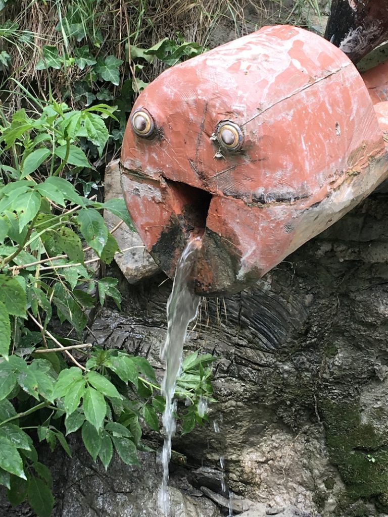 EL BOSQUE ENCANTADO DE GURB Sortir amb nens