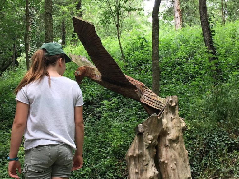 EL BOSQUE ENCANTADO DE GURB Sortir amb nens