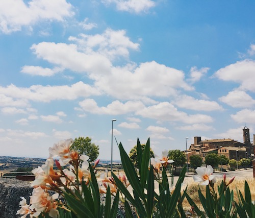 castell-de-florejacs