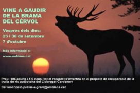 la-brama-dels-cervol