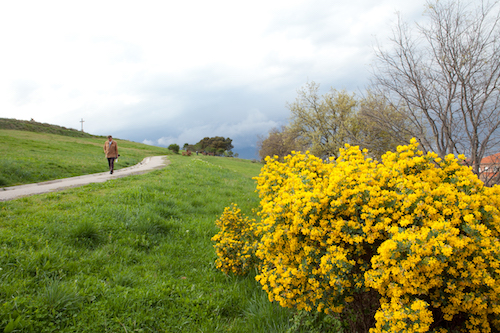 Parc de la Serreta a Cardedeu