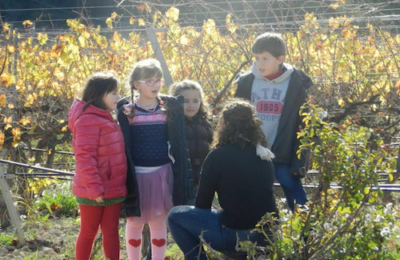 CAVAS VILARNAU EN FAMILIA