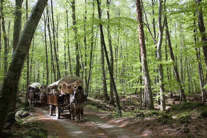 la garrotxa amb nens