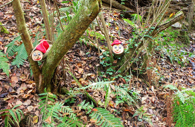 TIONS AL BOSC MÀGIC DEL RUKIMON
