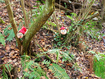 TIONS AL BOSC MÀGIC DEL RUKIMON