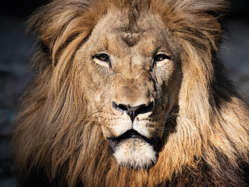 Zoo de Barcelona