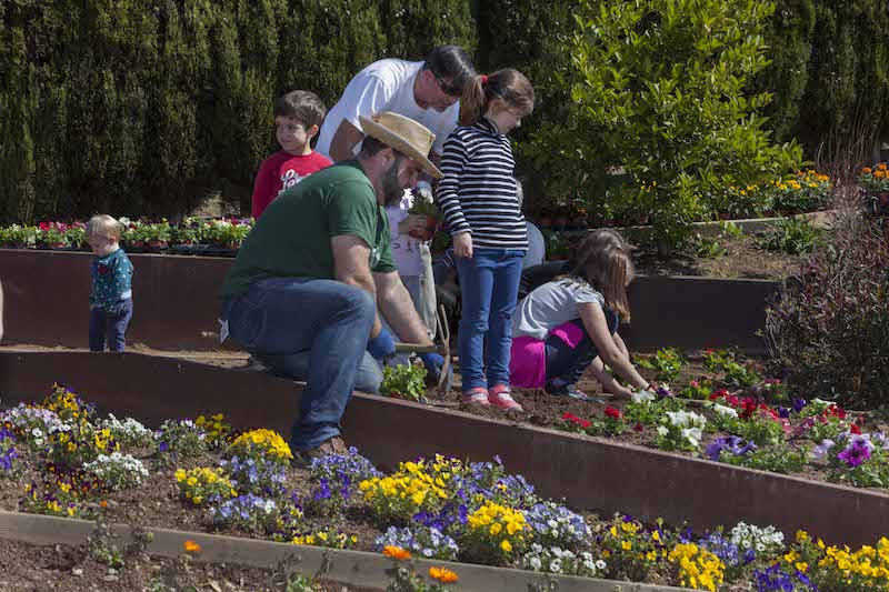 plántate en el botánico de Barcelona