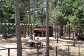 picnic con niños