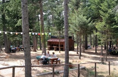 picnic con niños