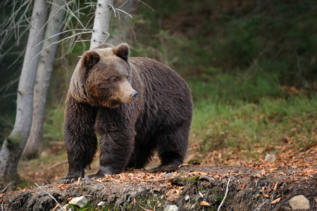 estancias con niños en mónnatura pirineus