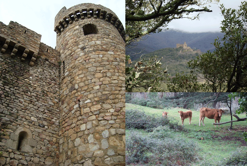 castillos para ir con niños