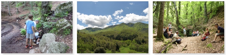 Excursió amb nens a Viladrau