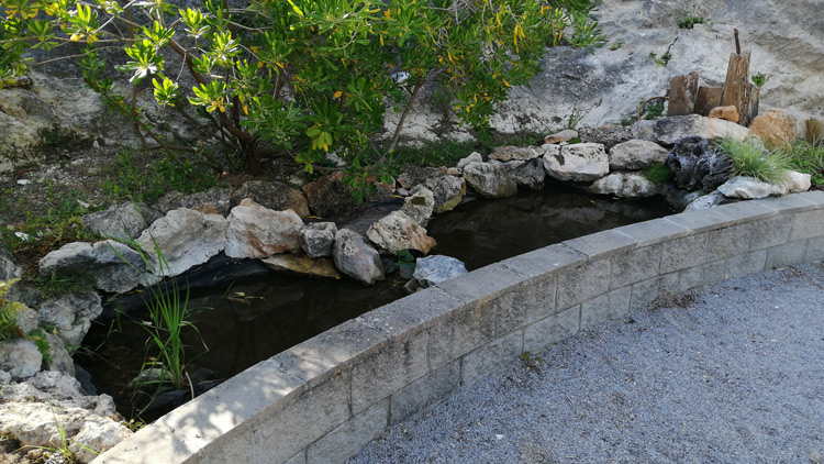 jardín de los pájaros