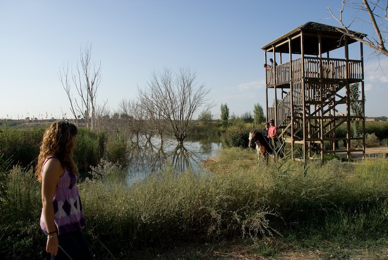 lagos y pantanos para ir de ruta con niños