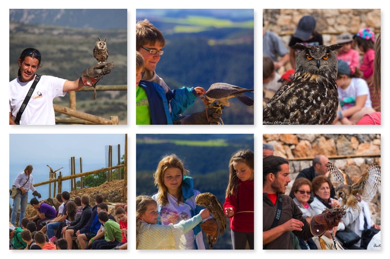 vacaciones con niños en Lleida