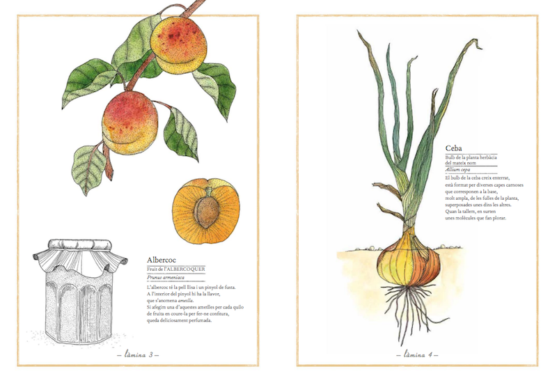 Inventari il·lustrat de les fruites i les hortalisses