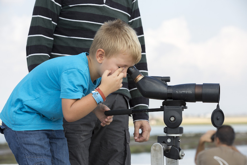 delta birding festival