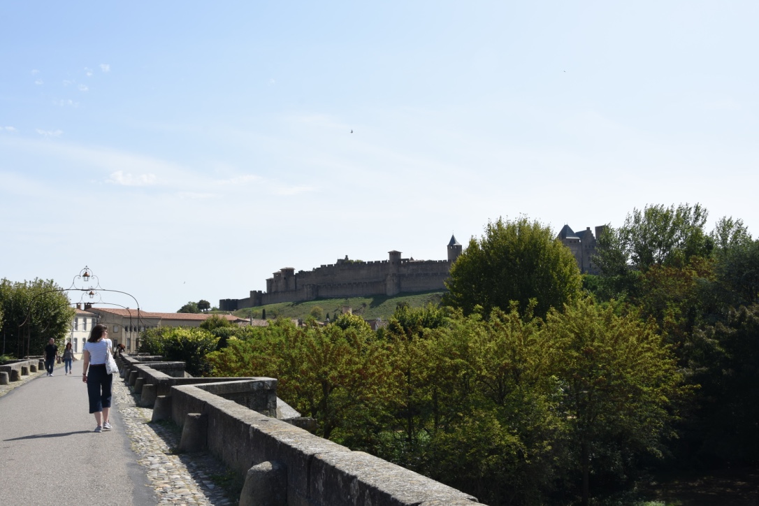 Carcassone con niños