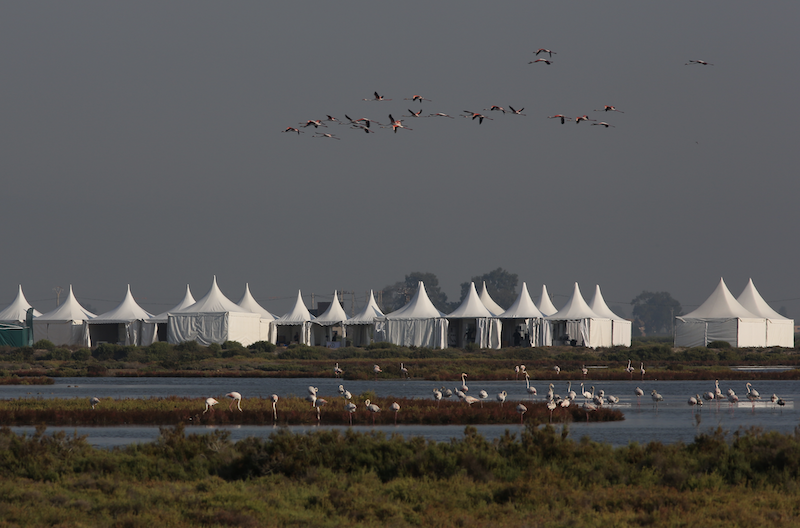 delta birding festival