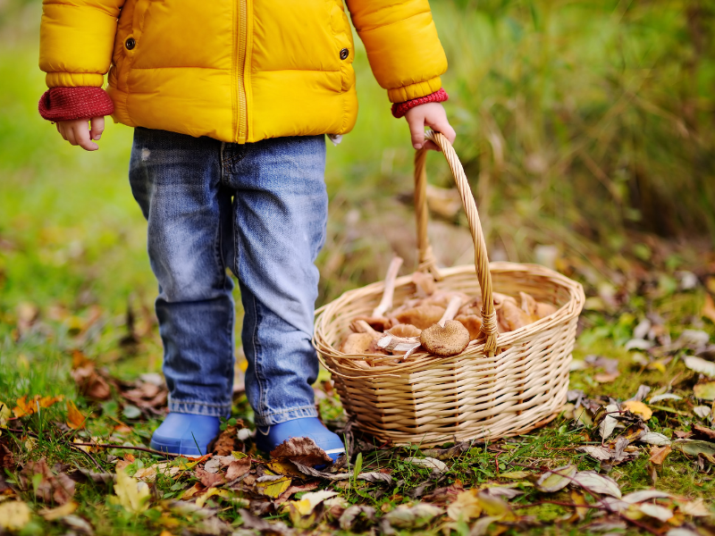 ir a buscar setas con los niños