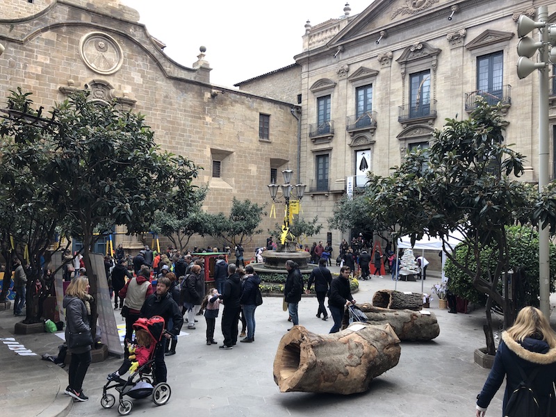 festa del tió a solsona