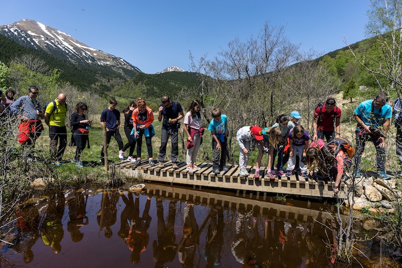 Mónnatura Pirineus