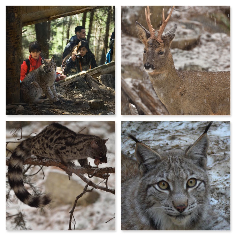 FAUNA SALVAJE, GRANJAS Y ZOOS