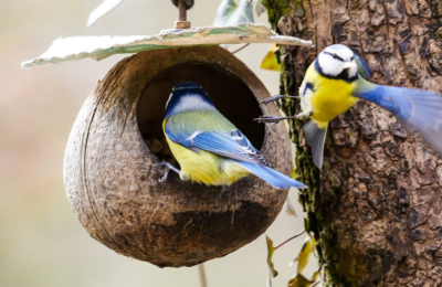 casitas para pájaros