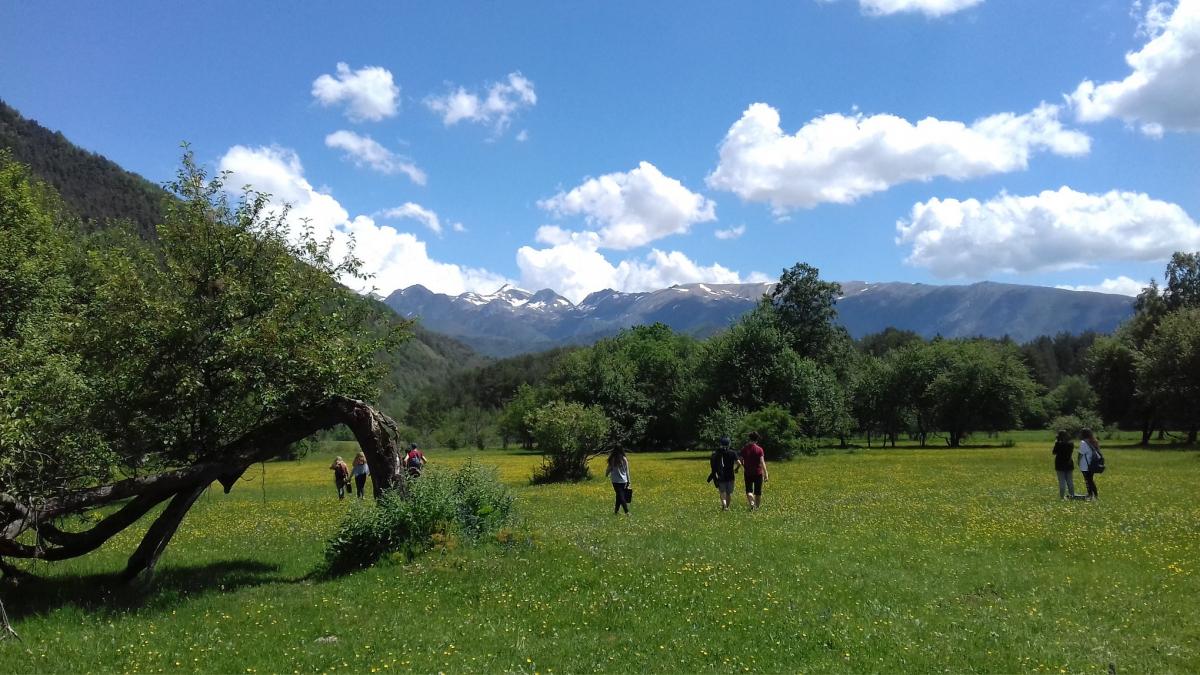 Escapada amb nens als Pirineus