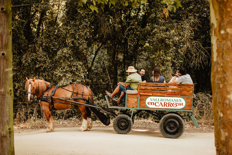 Paseo en carro en Vallromanes