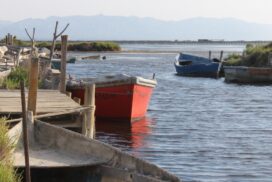 Delta de l'Ebre amb nens