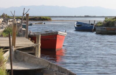 Delta de l'Ebre amb nens