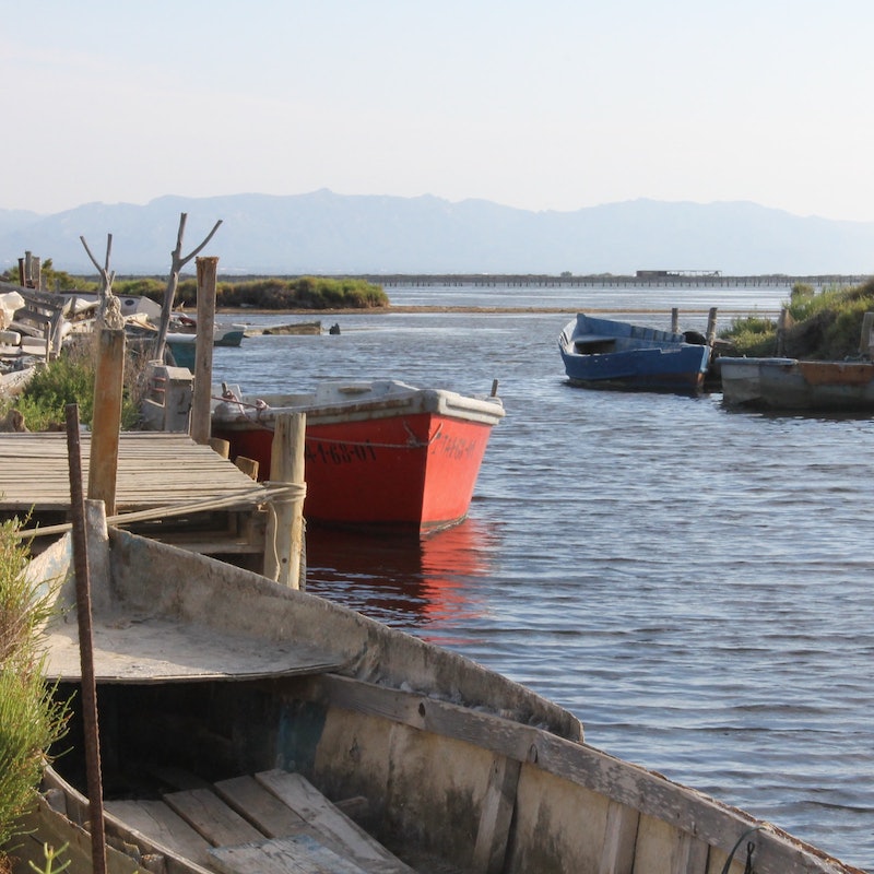 Delta de l'Ebre con niños