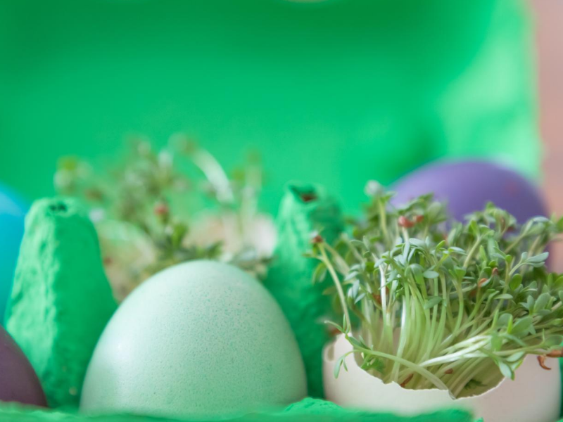 manualidades infantiles con cajas de huevos