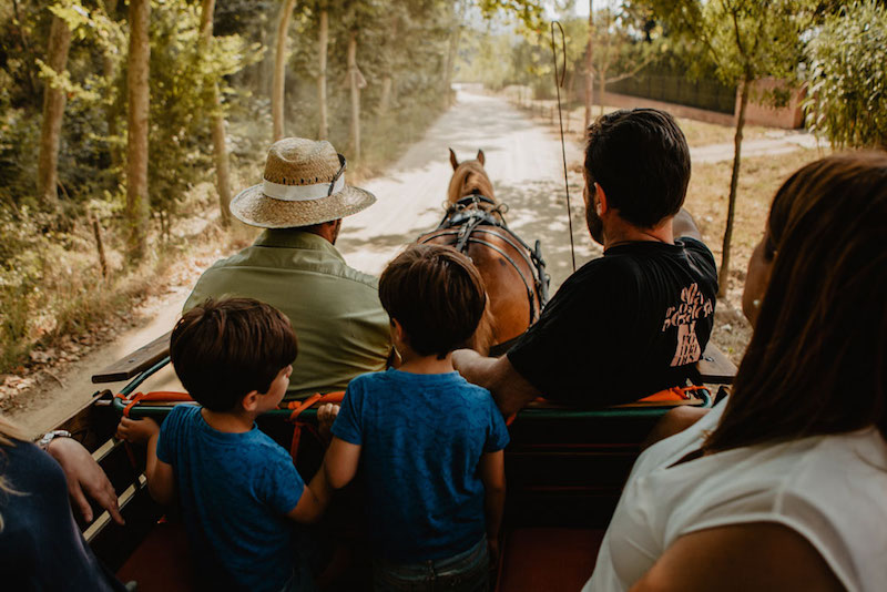 Paseo en carro en Vallromanes