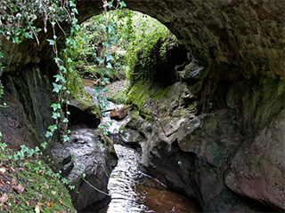 Espai Natural de les Guilleries-Savassona