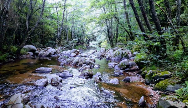 Espacio Natural de les Guilleries-Savassona