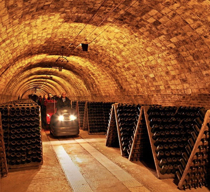 caves codorniu