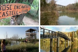 excursiones para hacer con niños con carritos de bebé