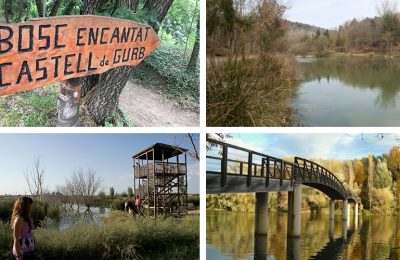 excursiones para hacer con niños con carritos de bebé