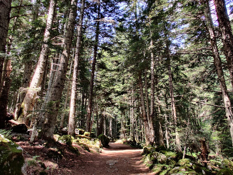 Excursió a la cascada del Gerber