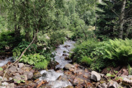 Excursió a la cascada del Gerber