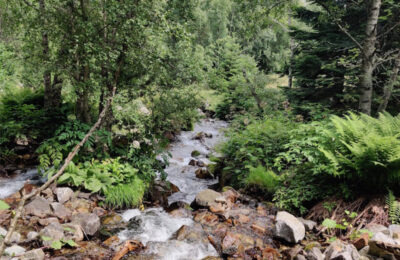 Excursió a la cascada del Gerber