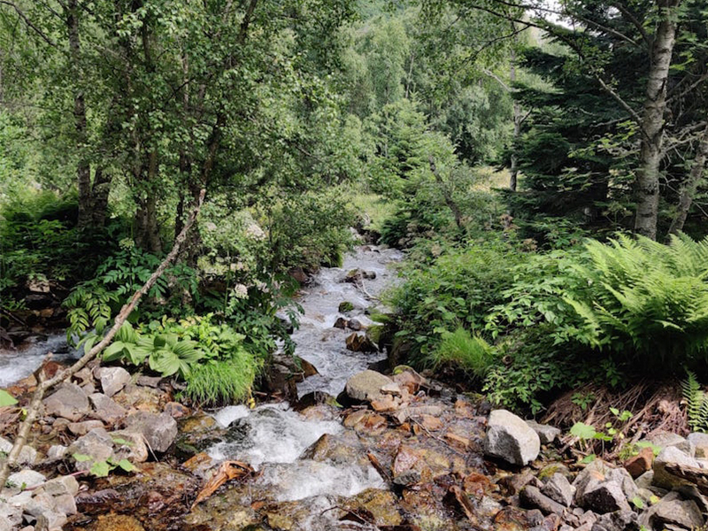 Excursió a la cascada del Gerber